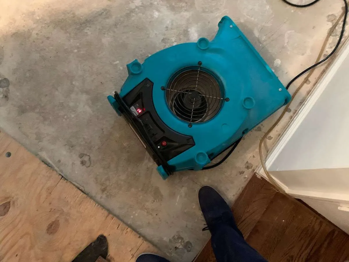 Air mover drying subfloor during Commercial Water Damage Restoration in Roosevelt